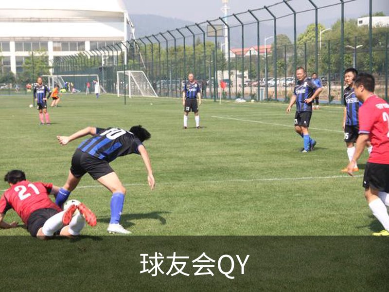 球友会QY品牌故事